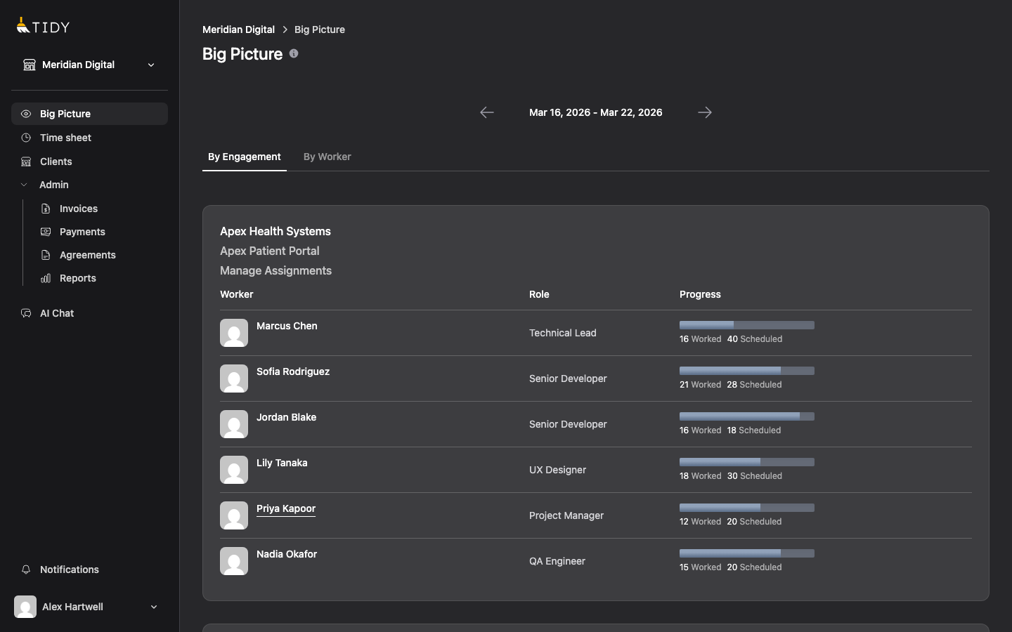 Big Picture view showing team assignments and utilization progress